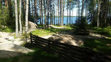 База отдыха Black Fox в Ленинградской области